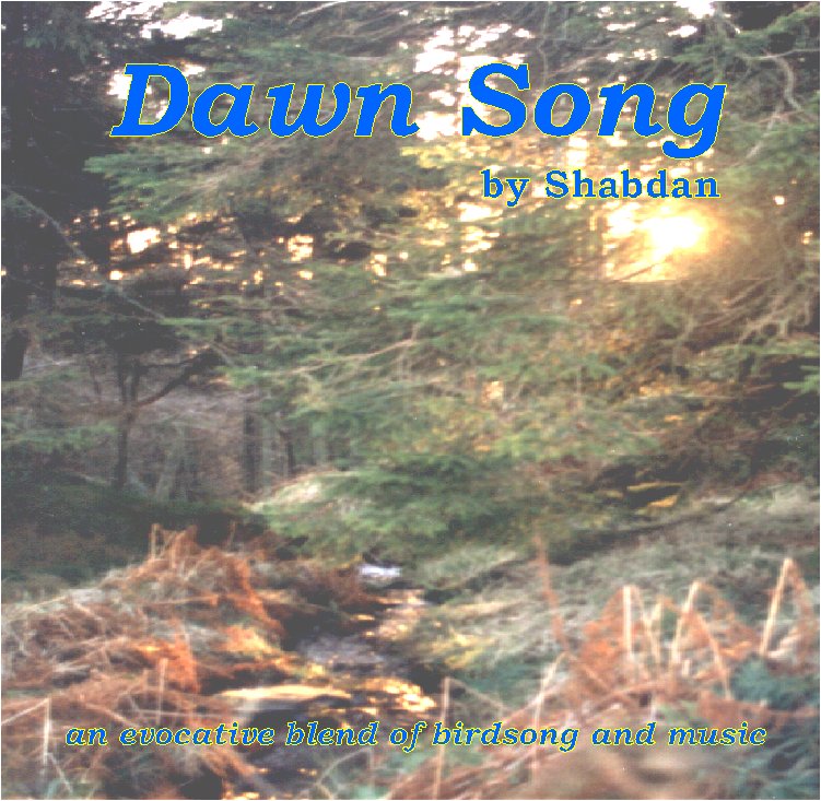 Dawn Song
