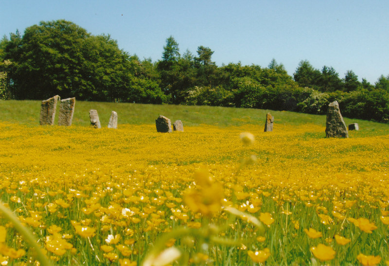 stone circle field at Lime Tree Farm